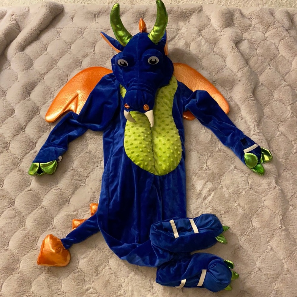 Dragon Costume